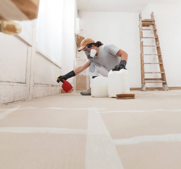 Best Attic Mold Removal  in Edburgh, IN