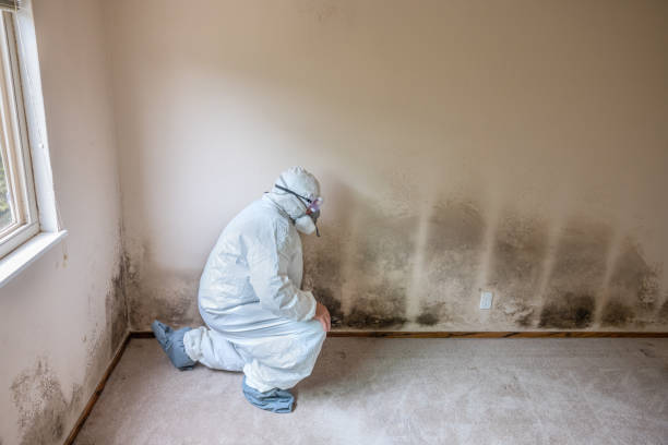 Best Crawl Space Mold Remediation  in Edburgh, IN